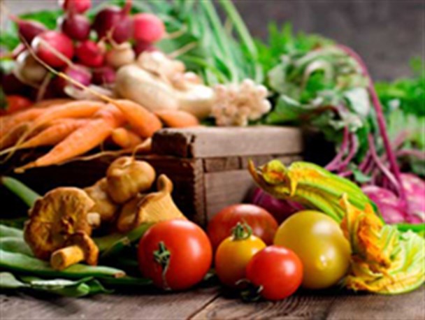 توصیه غذایی برای سفر