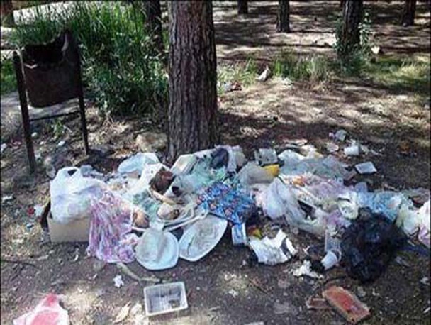 زباله های پلاستیکی مهمان ناخوانده ماندگار در طبیعت