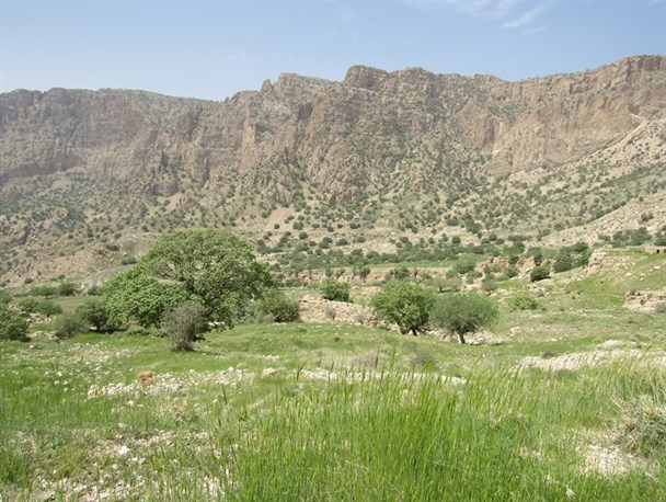تصاویری متفاوت از تنگ ماغر در شهرستان بهمئی+تصاویر