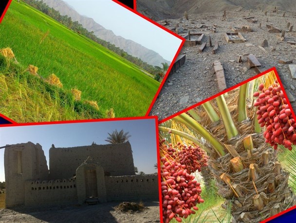 "دسکی گزان" یادآور بهشت برای گردشگران شد/ کوشوک محلی برای دستیابی به رویاهای کودکانه