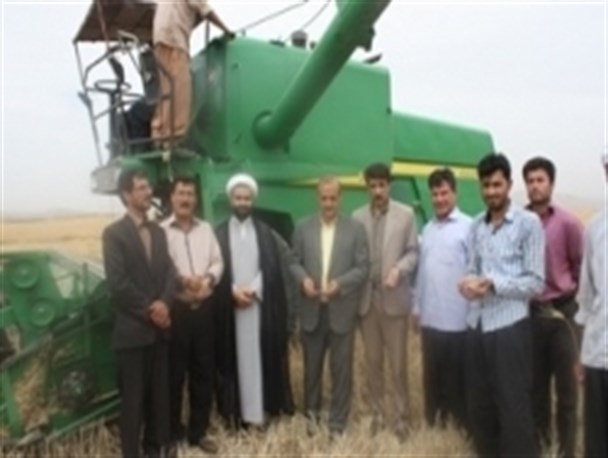 کار برداشت گندم از مزارع بخش کلات مورموری آغاز شد