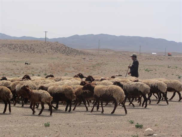 دیگر خبری از هیاهوی عشایر در استان سمنان نیست
