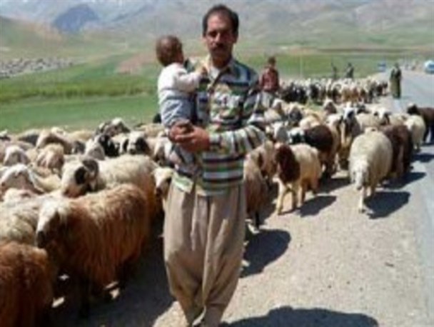 عشایر باز هم قرق را شکستند