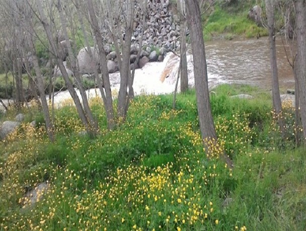 طبیعت زیبای روستای ریواسیجان تویسرکان