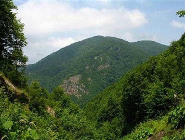 جنگل های مخروبه شهرستان مهدیشهر غنی سازی می شوند