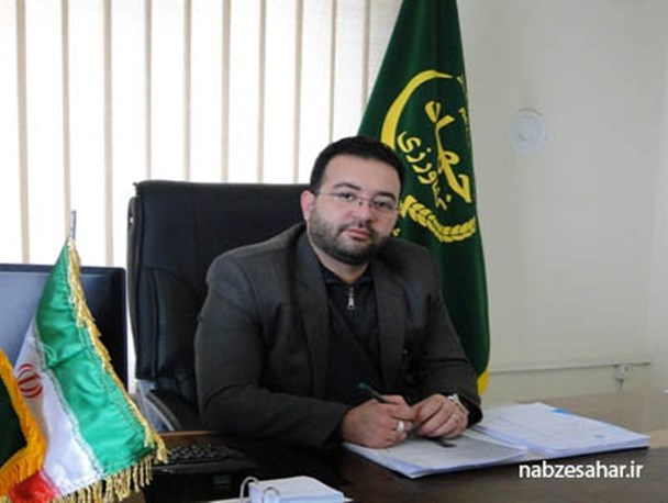 راهکار تداوم خودکفایی در تولید گندم توسعه کشت دانه روغنی کلزا است