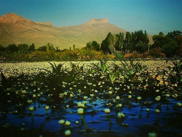 تماشای جمال پروردگار در کمال بهار