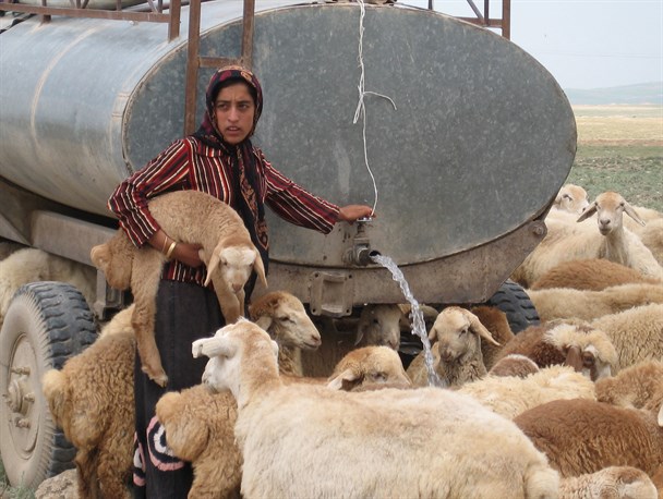 18 روستای خراسان‌جنوبی سال گذشته از چرخه آبرسانی سیارحذف شدند