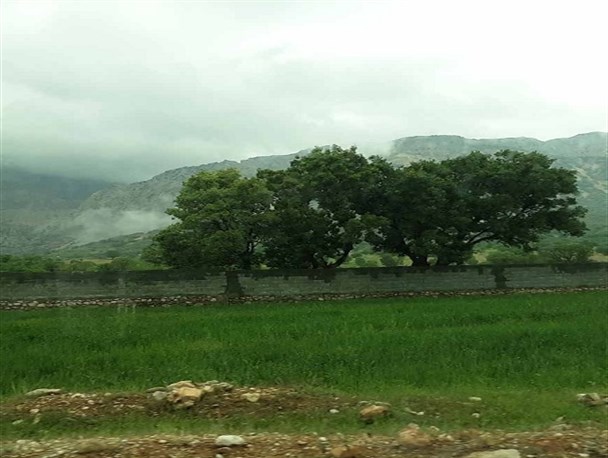 طبیعت بهاری سی‌سخت در یک روز بارانی