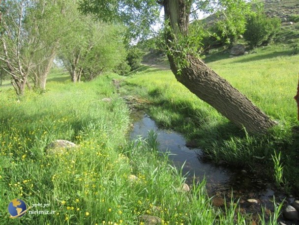 زیبایی چشم نواز طبیعت "بوران" شهرستان نیر