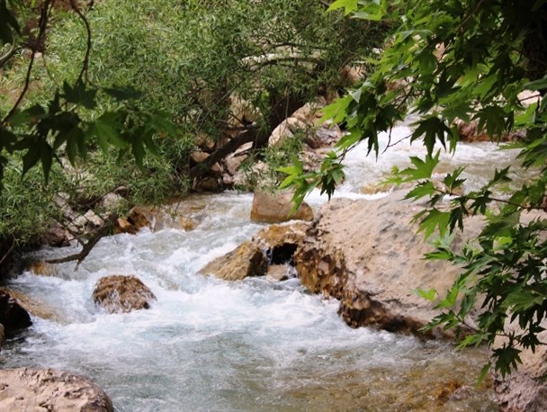 تنگه مهریان تفرجگاهی آرامش بخش در پنج کیلومتری یاسوج+تصویر