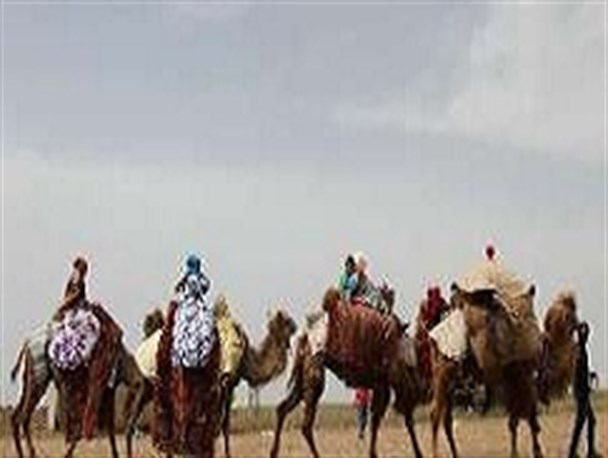 آغاز کوچ بهاره عشایر مغان به مناطق ییلاقی