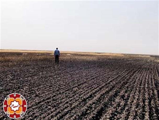 200 هکتار از اراضی کشاورزی آق قلا طعمه حریق شد/600 تن از دست رنج کشاورزان در آتش سوخت
