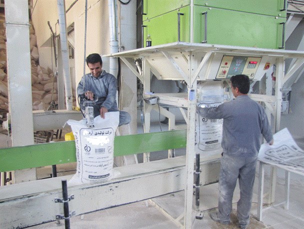 یکی از دو کارخانه تولید آرد گندم شهرستان میانه آغاز بکارکرد