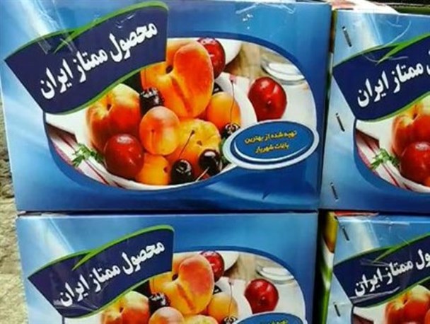 صادرات محصولات کشت و صنعت مغان با برند شهریار! +فیلم