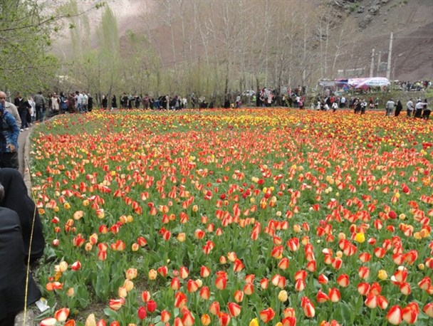 جشنواره ملی طبیعت گردی و گیاهان داروئی در تربت حیدریه برگزار می شود