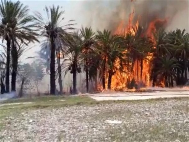 7 هکتار از باغات و مزارع در "راسک" طعمه حریق شد/مهار آتش پس از 6 ساعت تلاش بی وقفه