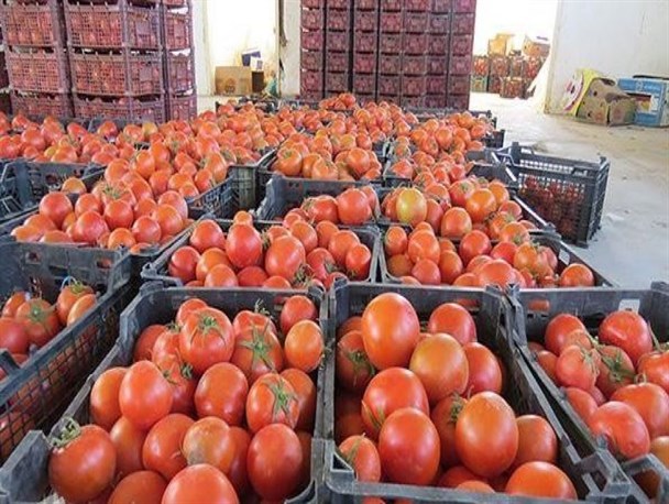 راه‌اندازی پویش خرید مستقیم از مزرعه و حمایت از کشاورزان به همت گروه‌های جهادی