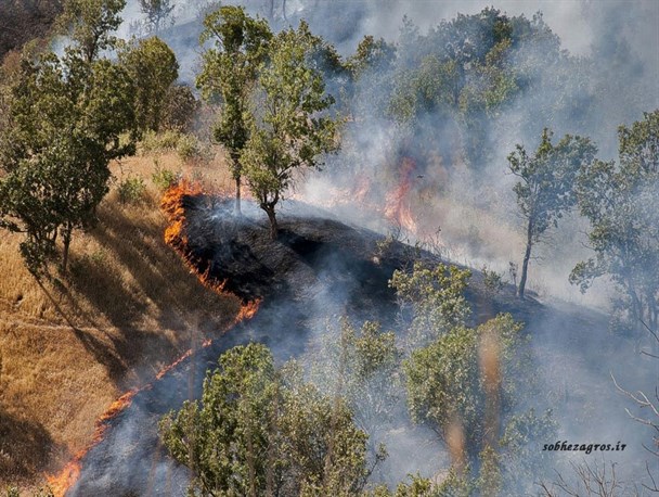 تاخت و تاز زبانه‌های آتش در جنگل‌های کهگیلویه و بویراحمد/ کمبود امکانات و تجهیزات؛ دودی که به چشم بلوط‌های زاگرس می‌رود+تصاویر