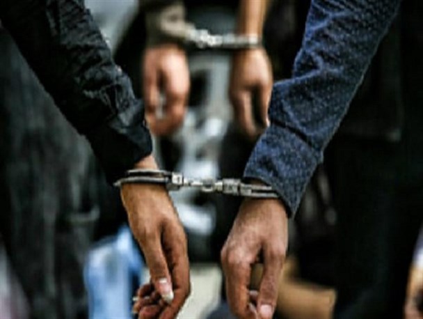 کرونا سرقت‌های خرد را افزایش داده است/ سرقت ۵ تن سیم برق توسط یک سارق