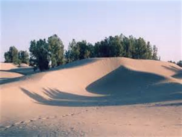یزد در خطر انتشار ریزگردهای گاوخونی است/ یزد فقیرترین استان به لحاظ پوشش گیاهی