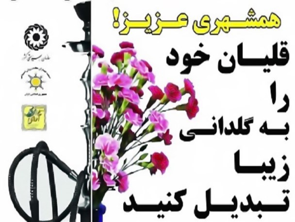 تبدیل قلیان به گلدان در گناوه + تصاویر