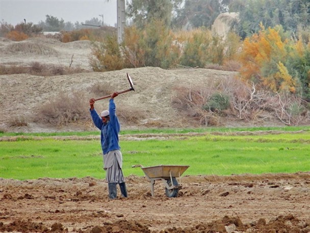 حقه آبه ی زمین های زراعتی، روشی کهن جهت تقسیم آب در سیستان
