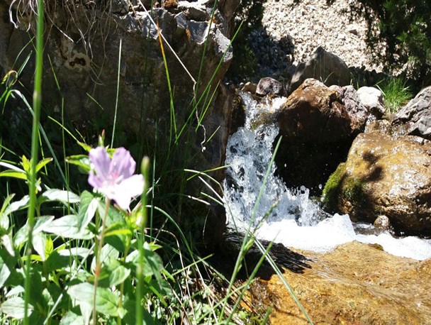 طبیعت بکر کوه‌های هزار مسجد درگز+تصاویر