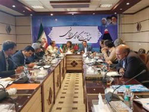 تصویب افزون بر۱۱۶ میلیارد تومان تسهیلات روستایی و فراگیر و در حوزه صنعت؛معدن و تجارت