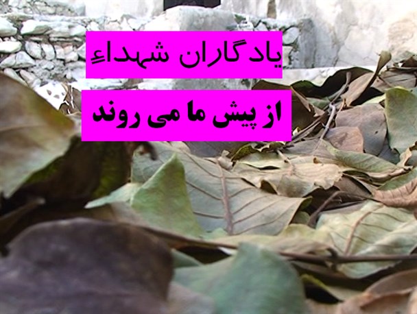عروج مادر شهیدی که حامی فرهنگ کتاب وکتابخوانی بود/ یادگاران شهدا رخت سفر به سوی فرزندان خود را بستند+عکس