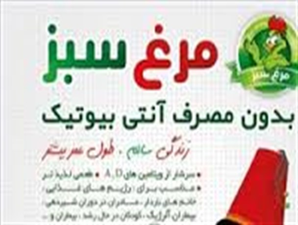 تولید 20000 قطعه مرغ سبز در تعاونی های مرغداری شهرستان لالی