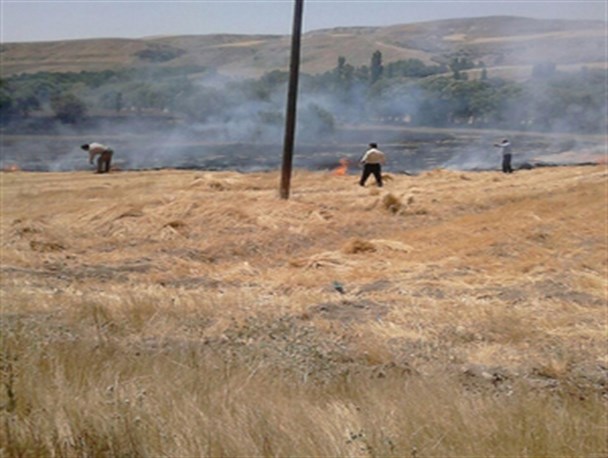 آتش سوزی مزرعه گندم در روستای باغچه رود هشترود +تصاویر