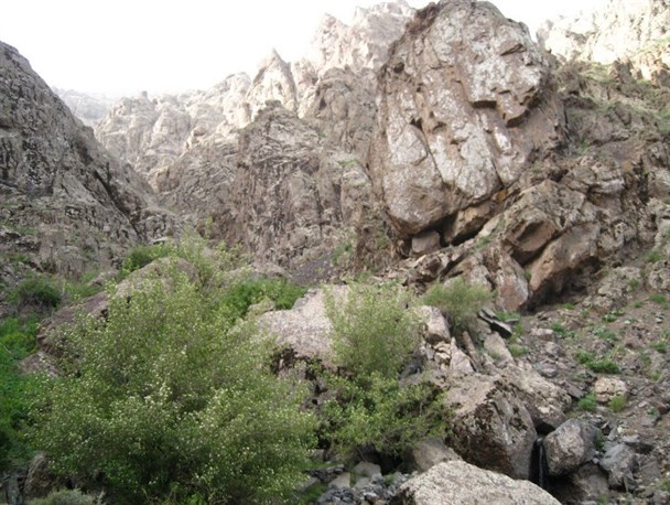 مناطق حفاظت شده استان میراثی ارزشمند برای آیندگان