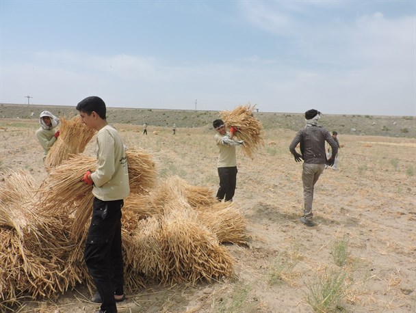 گردان جهادی غافله خاکی در جلگه رخ تربت حیدریه+تصاویر