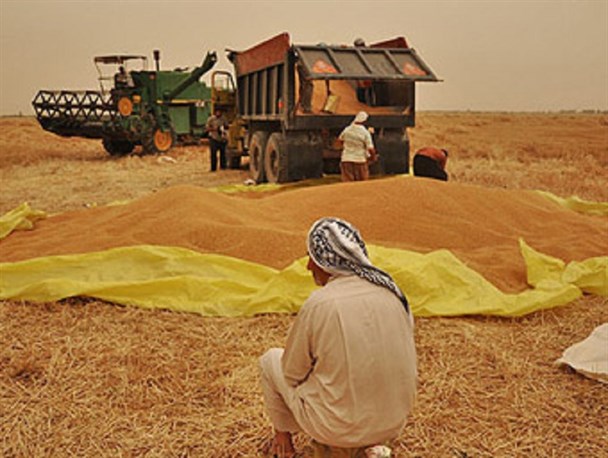 دستان خالی کشاورزان ممسنی برای کاشت ذرت