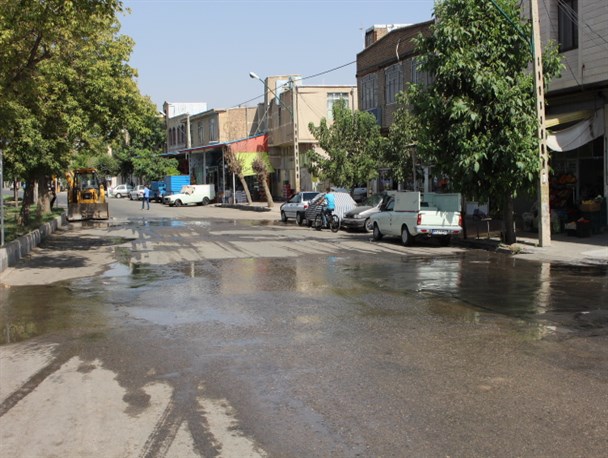 درختان خیابان ساحلی شاهین دژ هنوز سیراب نگشته است+تصاویر