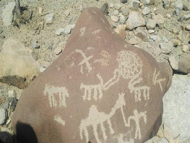 در انتظار تیم کارشناسی میراث فرهنگی کرمان برای بررسی سنگ‌نگاره‌ها هستیم