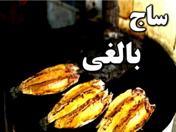 ساج بالغی میانه همچنان در انتظار ثبت ملی شدن/ لزوم توجه به توریسم غذایی در آستانه رویداد تبریز ۲۰۱۸