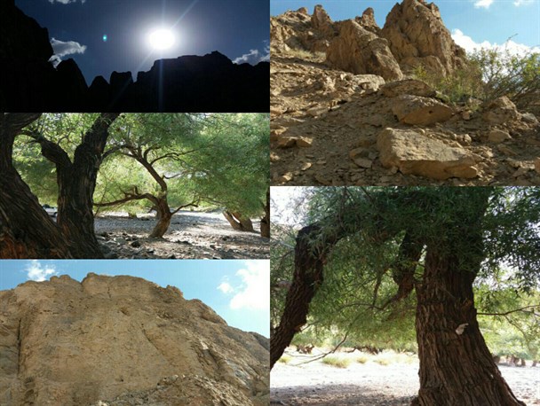 تصاویری زیبا از تفرجگاه کال سوهه در رشتخوار