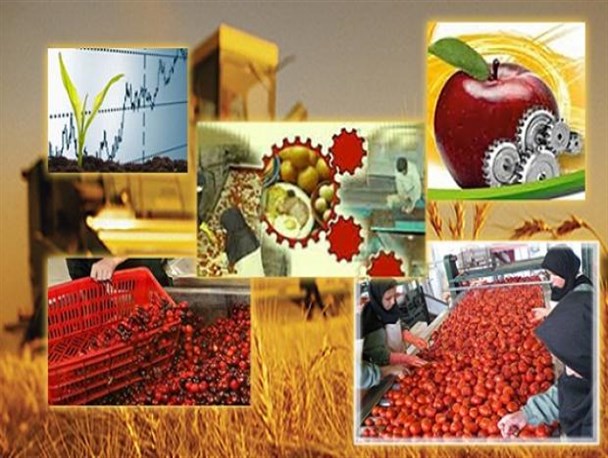 ۲۱۲ میلیارد تومان تسهیلات اشتغال روستایی در لرستان پرداخت شد