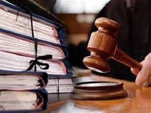 ۲۲۴ پرونده تخلفاتی مرغ در لرستان تشکیل شد