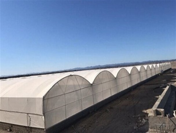 صدور مجوز شهرک‌های گلخانه‌ای زنجان در حال انجام است