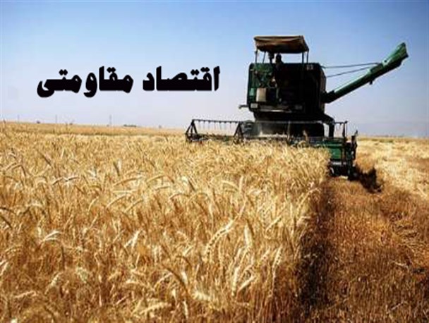 قیمت گندم با هزینه های کاشت تناسبی ندارد / کاشت بی رویه پسته یک فاجعه زیست محیطی به آورده است