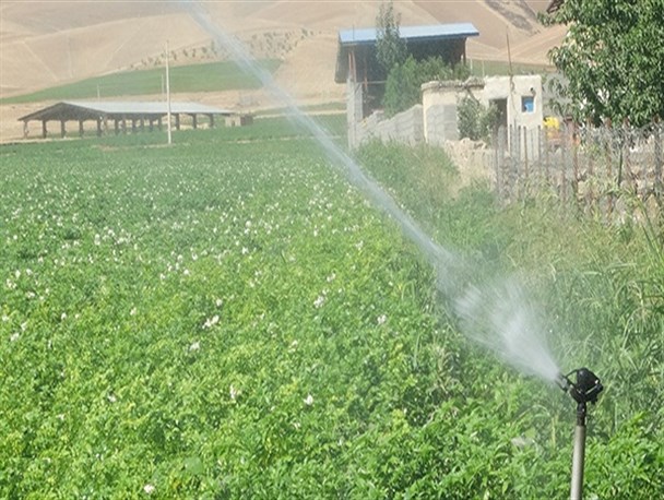 توسعه آبیاری بارانی در الشتر