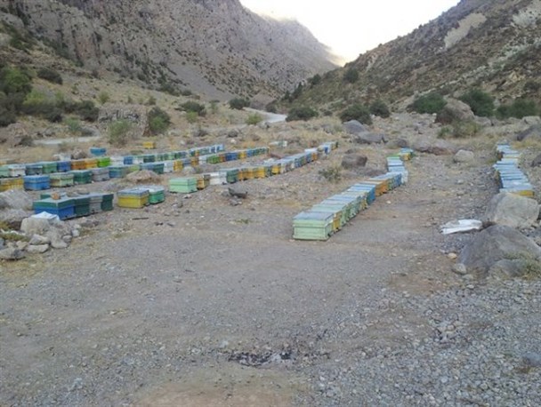 کوهگل سی سخت به روایت تصویر