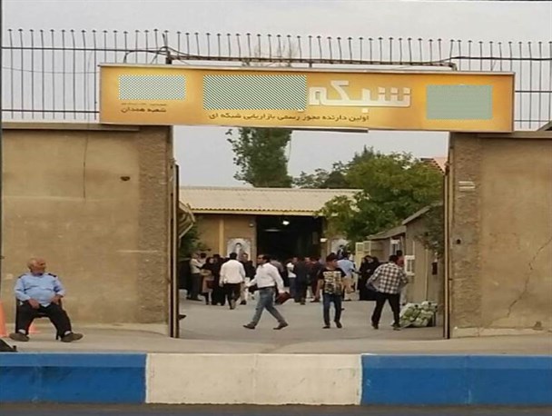 شرکت های هرمی زیر پوست بازاریابی شبکه ای