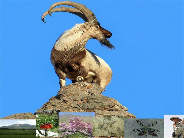 نخستین نمایشگاه عکس محیط زیست تویسرکان برپا می شود