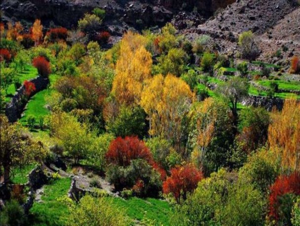 روستای تمندان خاش؛ بهشتی گمشده در دامنه تفتان/ ضرورت احداث پایگاه محیط بانی در روستای تمندان  + تصاویر