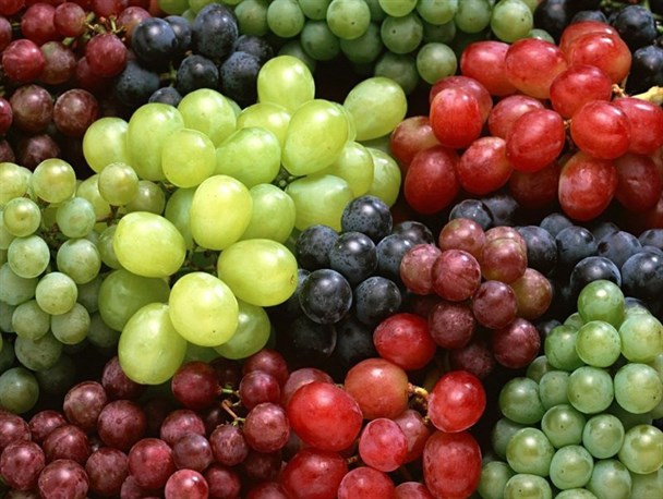 جشنواره انگور در بخش ناغان برگزار می شود