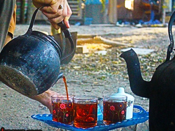 تصاویر بکر از جنگل مهدیرجه گلوگاه
